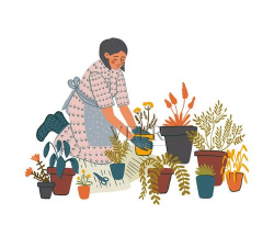 家庭养花用生根粉