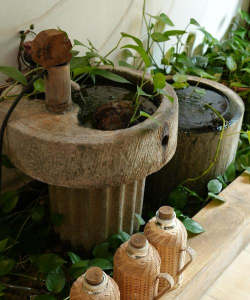 家庭养花用生根粉