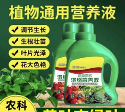 家庭养花用生根粉