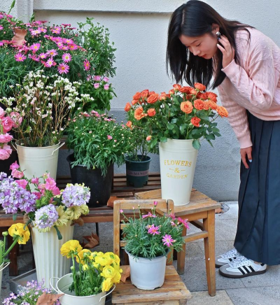 家庭养花用生根粉