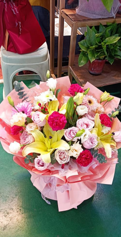 家庭养花用生根粉