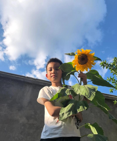 家庭养花用生根粉