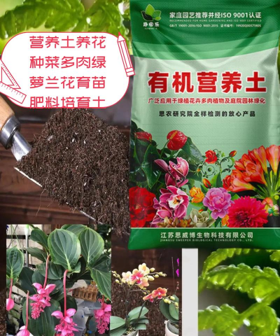 家庭养花用生根粉