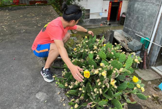 养花人被赶出门