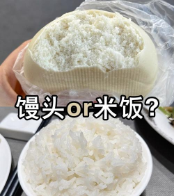 米饭养馒头养花好吗