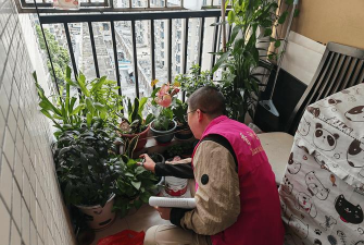 家庭养花用生根粉