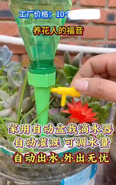 机模可以养花吗