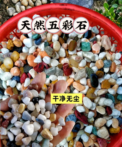 七彩养花石