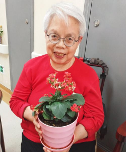 家庭养花用生根粉