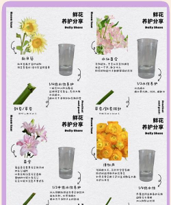 鲜切花如何长时间保存