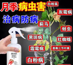 家庭养花用生根粉