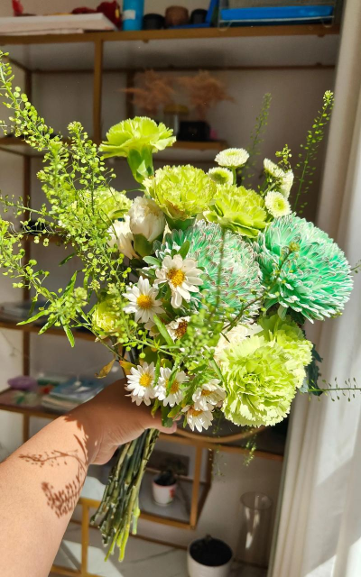 家庭养花用生根粉