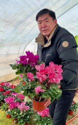 家庭养花用生根粉