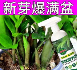 家庭养花用生根粉