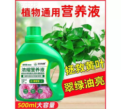 家庭养花用生根粉