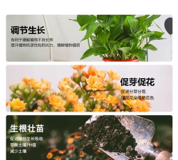 家庭养花用生根粉