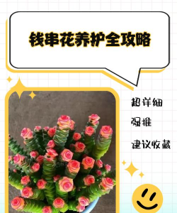 养花珠子文案简短霸气