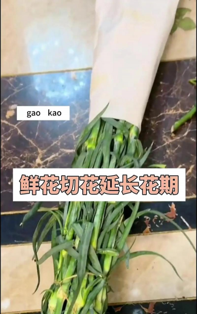 鲜花摆摊怎么保养花