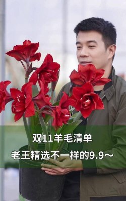 家庭养花用生根粉