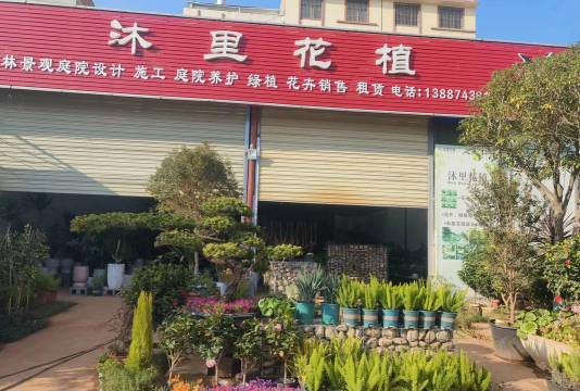 峨眉养花基地地址