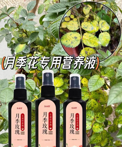 家庭养花用生根粉