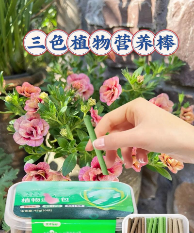 家庭养花用生根粉