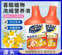 家庭养花用生根粉