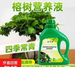 家庭养花用生根粉