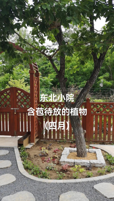 东北能养花圃吗