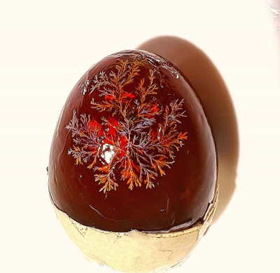 芍药花怎么养，掌握关键要点，花开更鲜艳