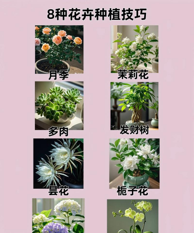 别墅园林绿化设计，打造私密空间，提升居住品质