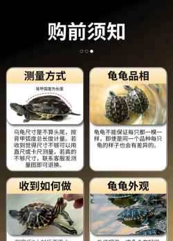 别墅园林绿化设计，打造私密空间，提升居住品质