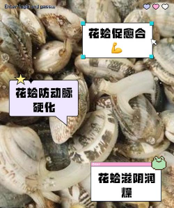 芍药花怎么养，掌握关键要点，花开更鲜艳