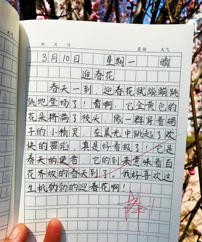 葡萄栽培，掌握关键技术，实现优质丰产