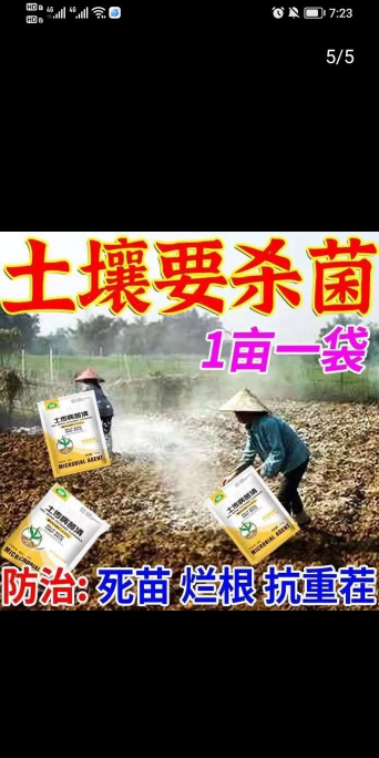 葡萄栽培，掌握关键技术，实现优质丰产