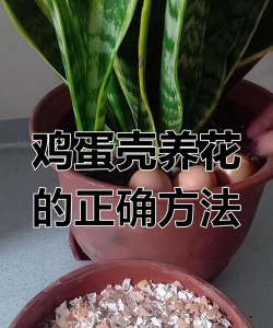 绿化景观设计，提升环境品质，创造宜人空间