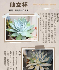 绿化景观设计，提升环境品质，创造宜人空间