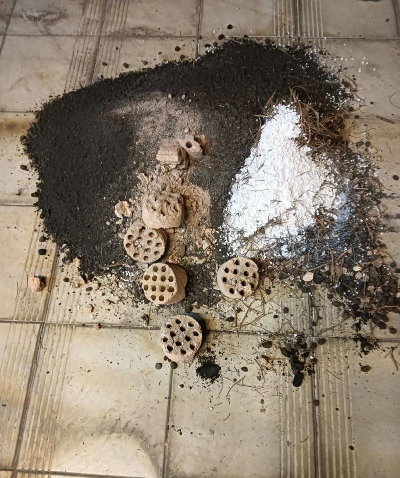 葡萄栽培，掌握关键技术，实现优质丰产