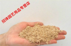 木粉刨花能养花吗