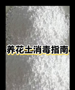 怎样给养花土杀菌