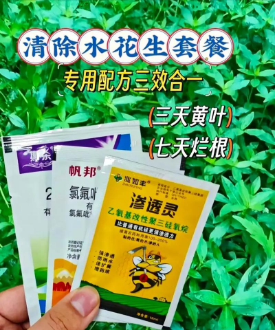 柿树虫病防治，识别常见虫害，掌握有效方法