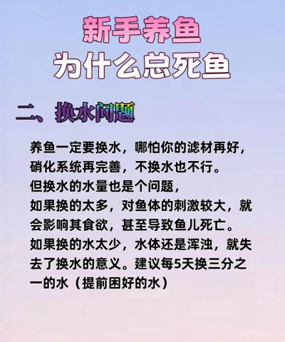 无土栽培技术，突破土壤限制，开启高效种植新篇章