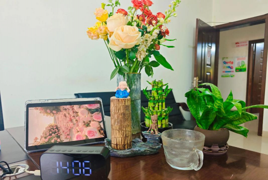 无土栽培技术，突破土壤限制，开启高效种植新篇章