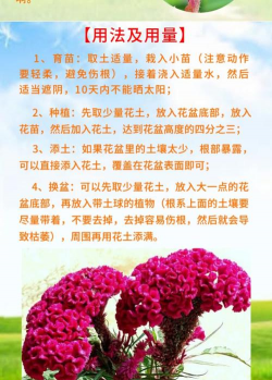 家庭养花用生根粉