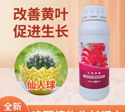 家庭养花用生根粉