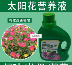 家庭养花用生根粉