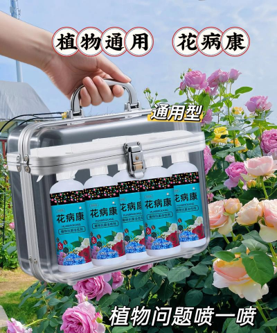 家庭养花用生根粉