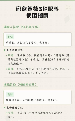 家庭养花用生根粉