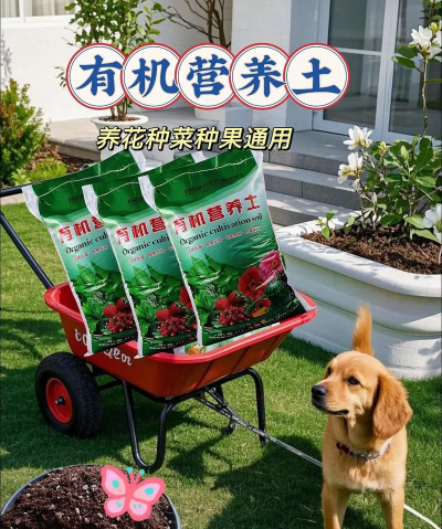 家庭养花用生根粉