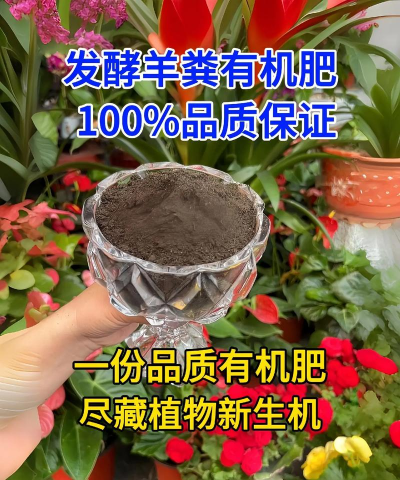 家庭养花用生根粉